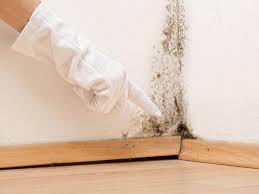 Why You Should Choose Our Mold Remediation Services in Addison, WV